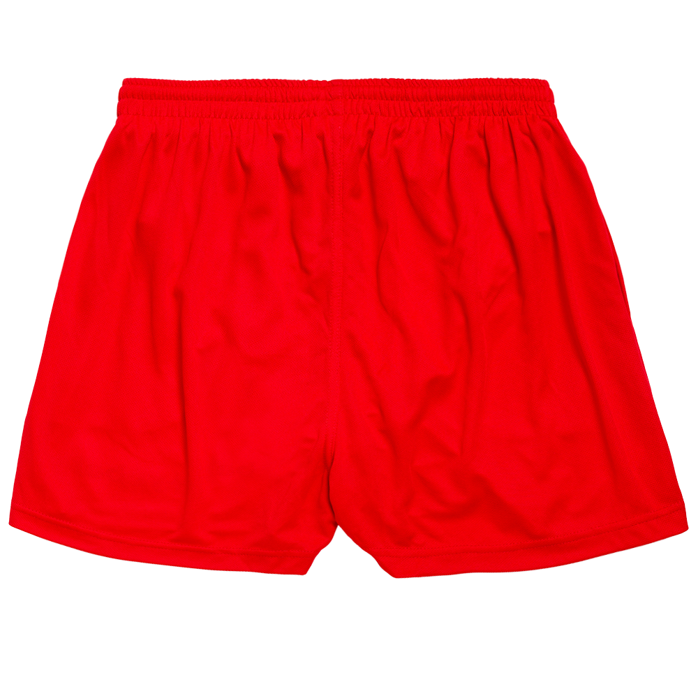 Troyebaby Shorts Back