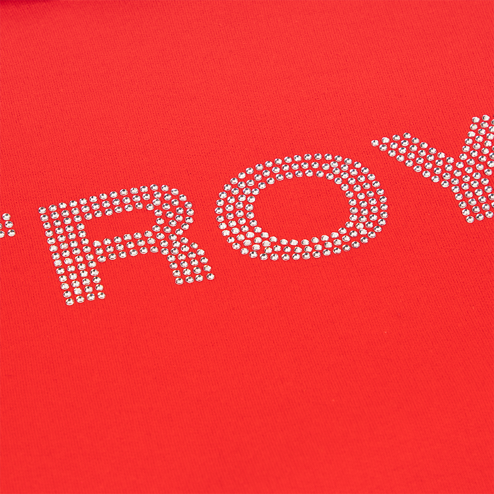 Troye Rhinestone Hoodie