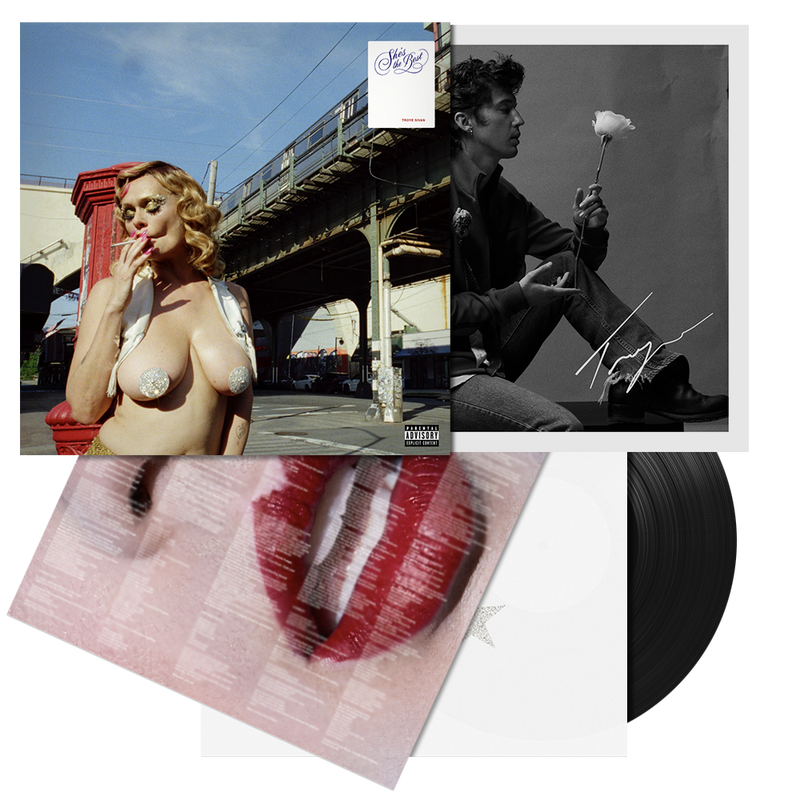 TroyeSivanShe_sTheBestVinylStandardPackS